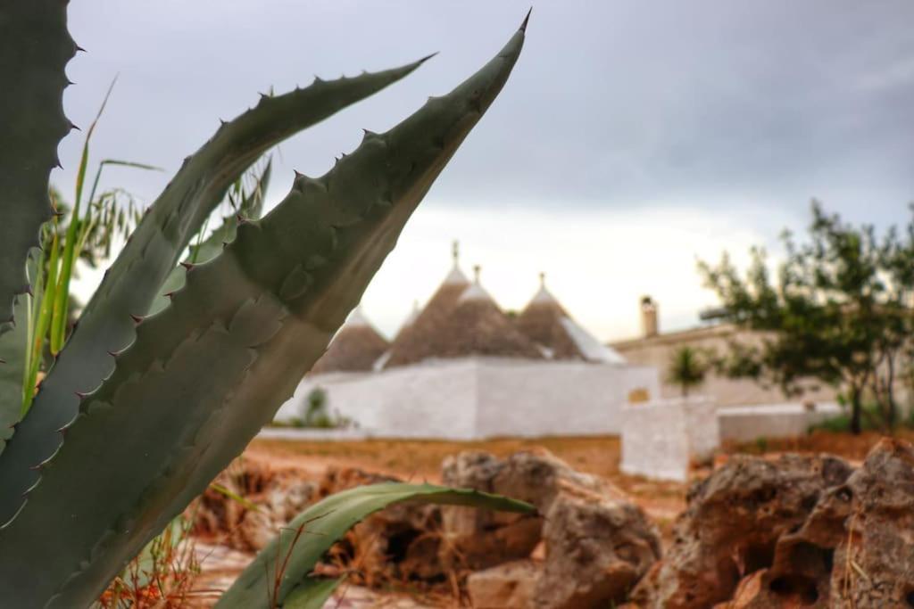 הוילה צ'לייה מספיקה I Trulli D'A Ross מראה חיצוני תמונה